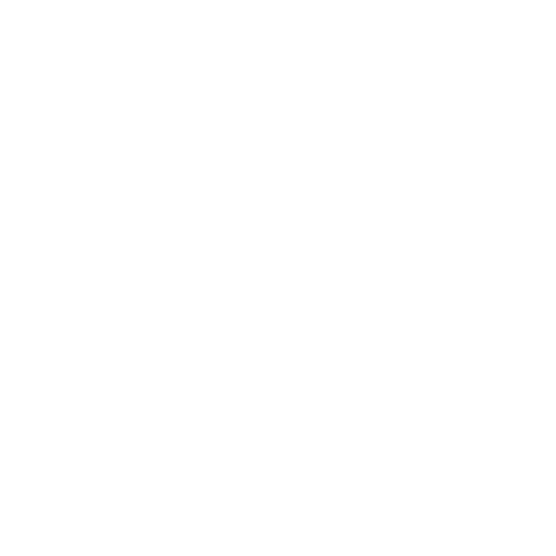 Personalized Style